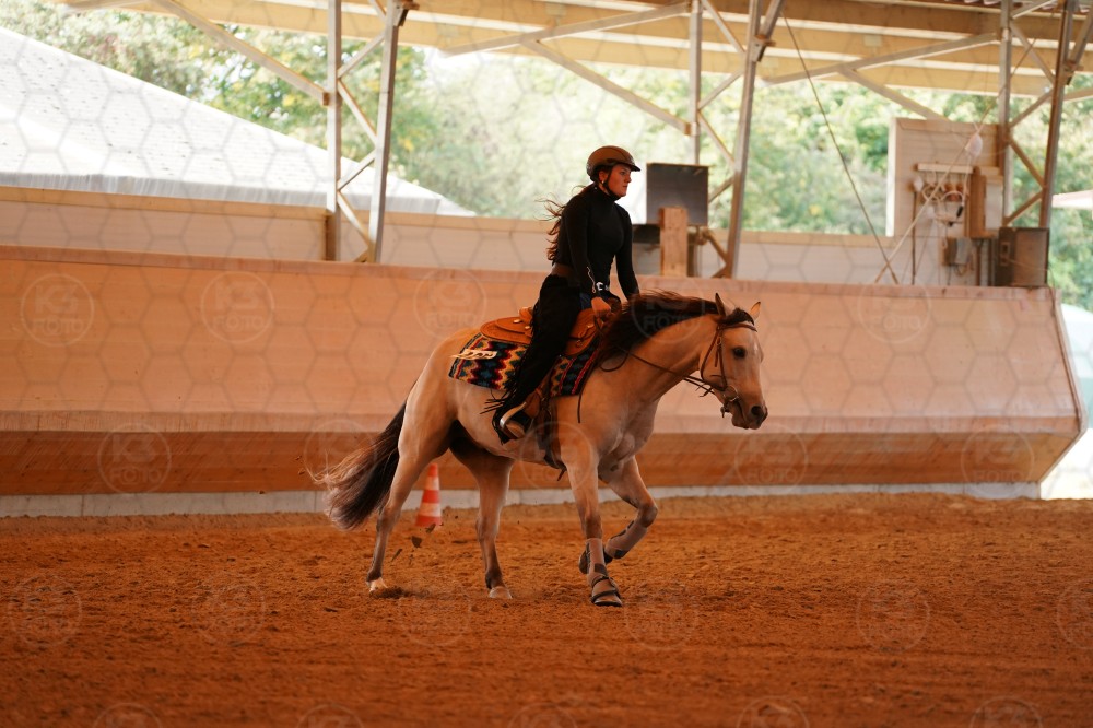 s_A_909296.JPG